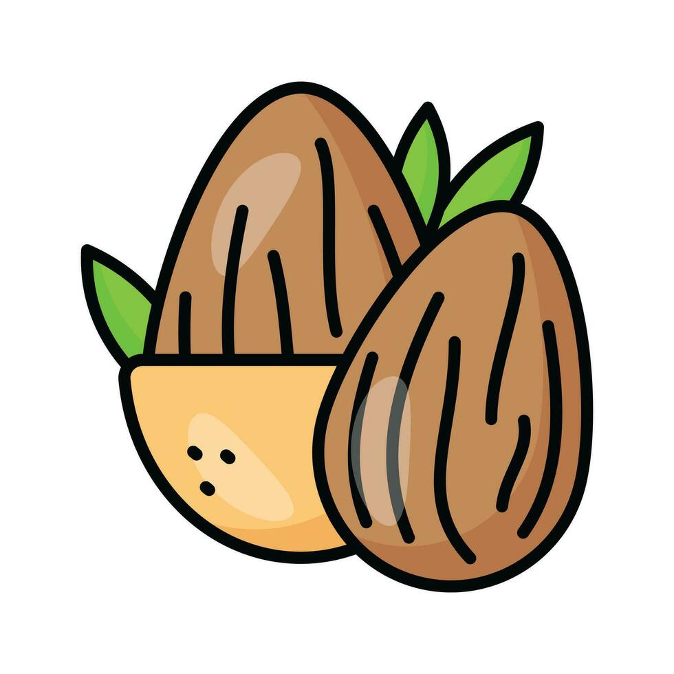 میوه خشک